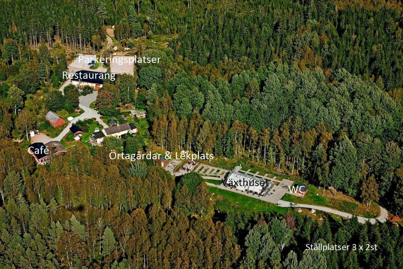 Nydala Timjan Forest Resort מראה חיצוני תמונה